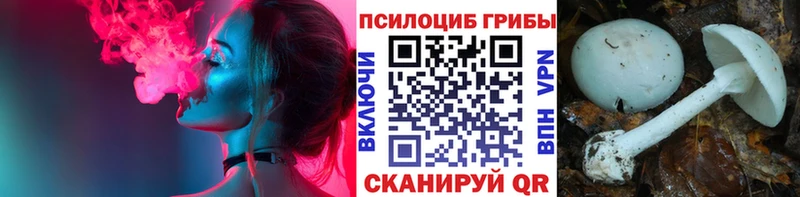 Псилоцибиновые грибы ЛСД  гидра вход  Боровичи 
