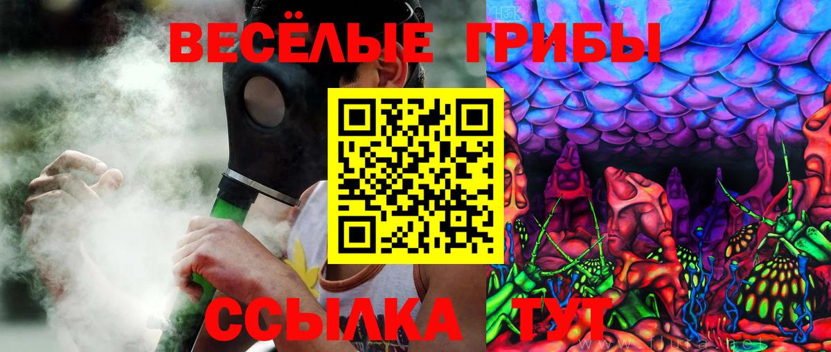 Псилоцибиновые грибы Psilocybe  Псилоцибиновые грибы прущие грибы  Боровичи  Вход с VPN 
